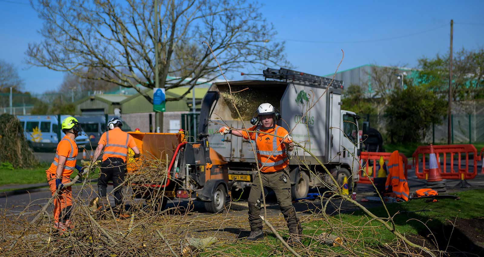 Oxleas Tree Care Ltd logo
