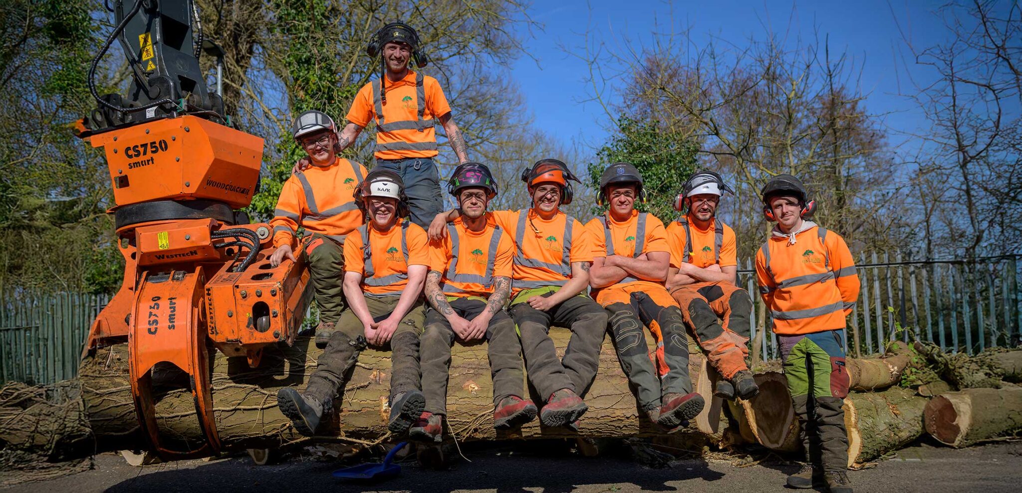 About Us | Oxleas Tree Care – Expert Tree Surgeons with 15+ Years of ...