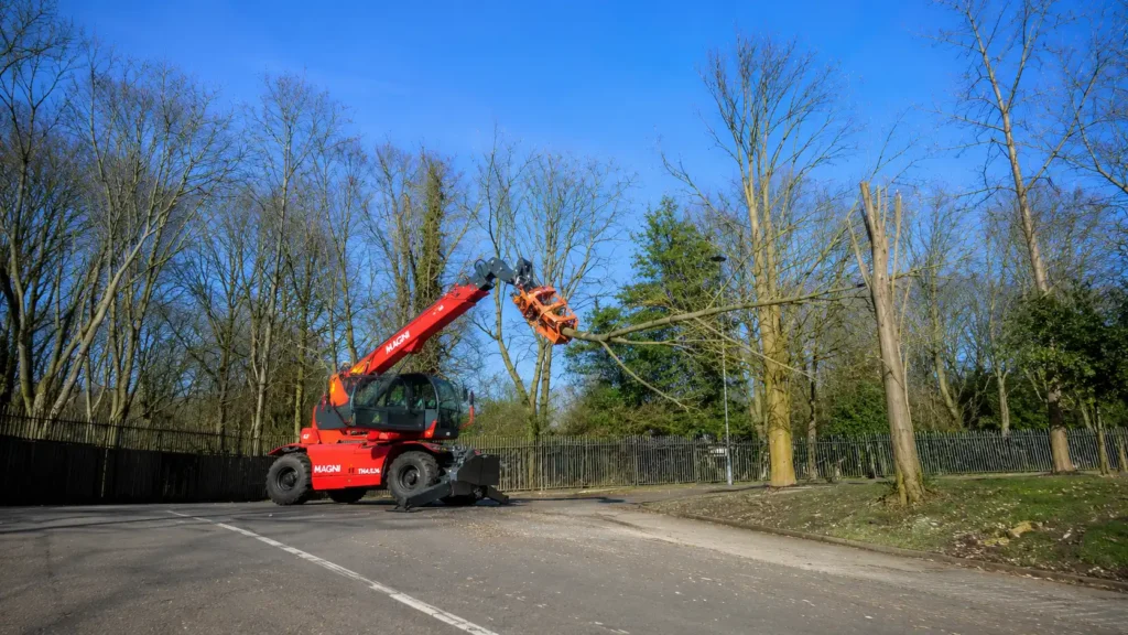 Tree Removal and Pruning