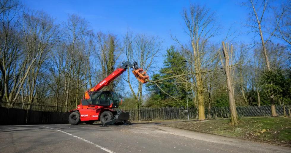Tree Removal and Pruning